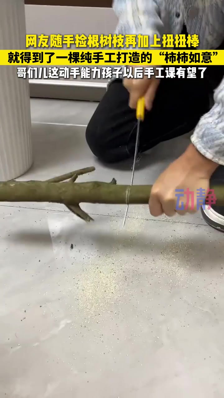网友捡拾树枝打造出了一棵“柿柿如意”