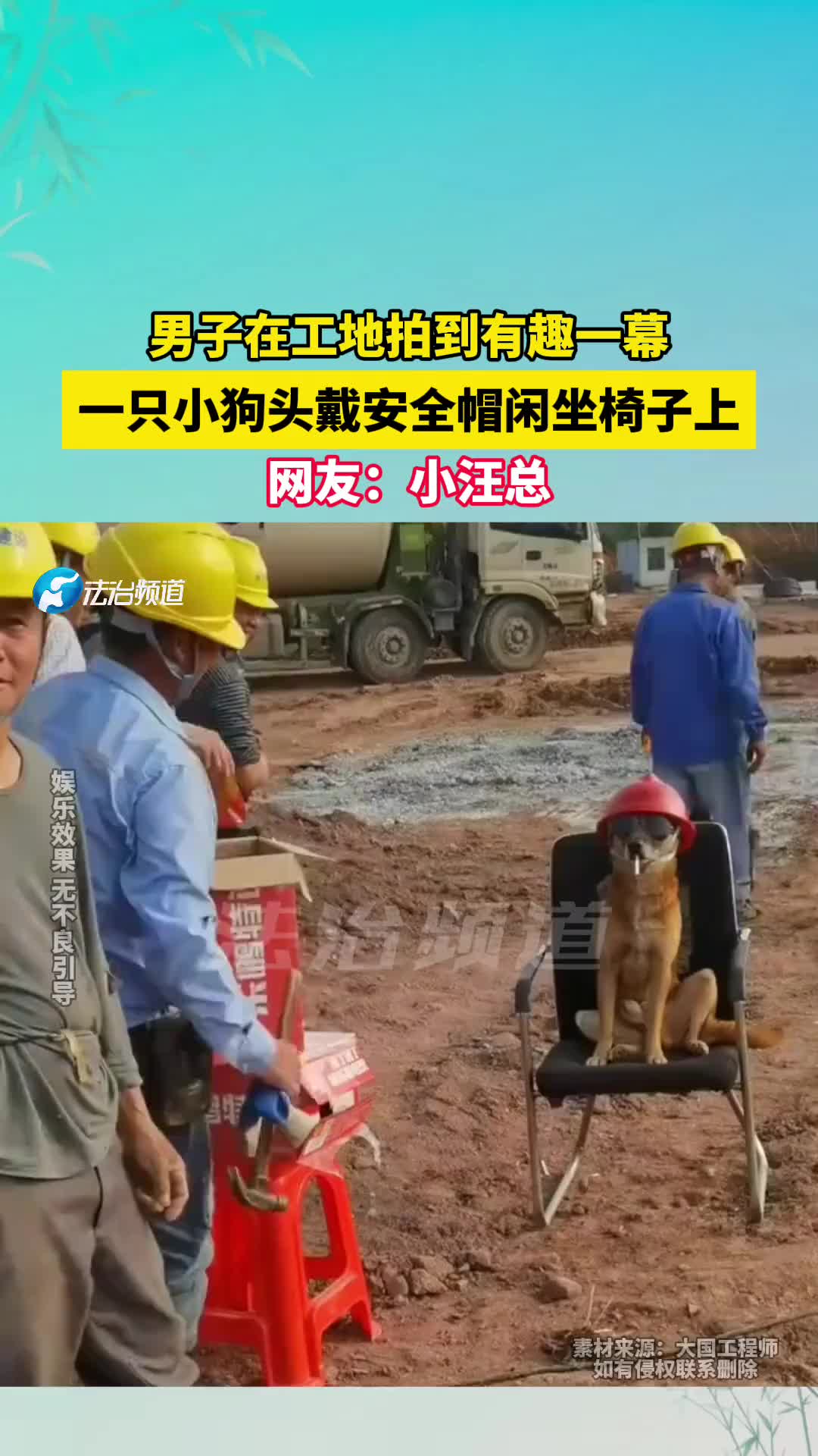 男子在工地拍到有趣一幕，一只小狗头戴安全帽闲坐椅子上！