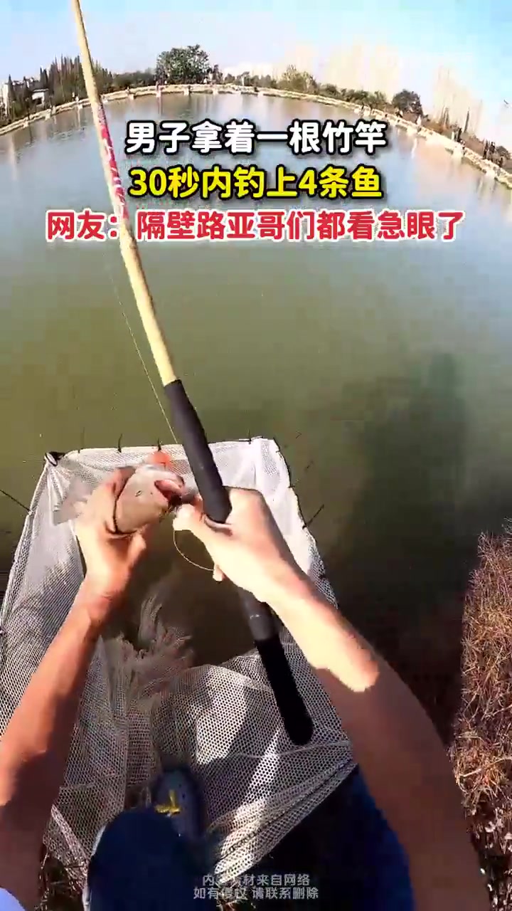 男子一根竹竿30秒内钓上4条鱼，网友：隔壁路亚哥们都看懵了