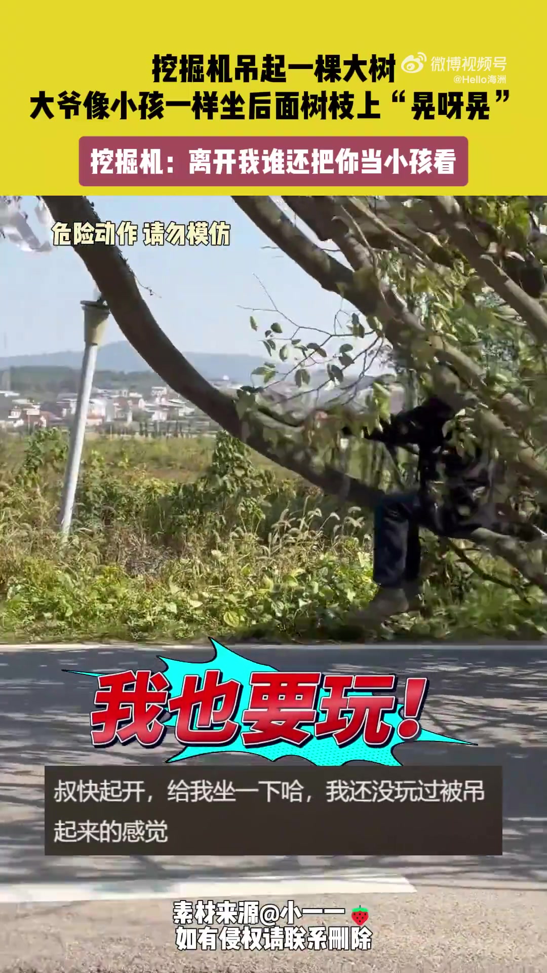 挖掘机吊起一棵大树，大爷像小孩一样坐后面树枝上“晃呀晃”