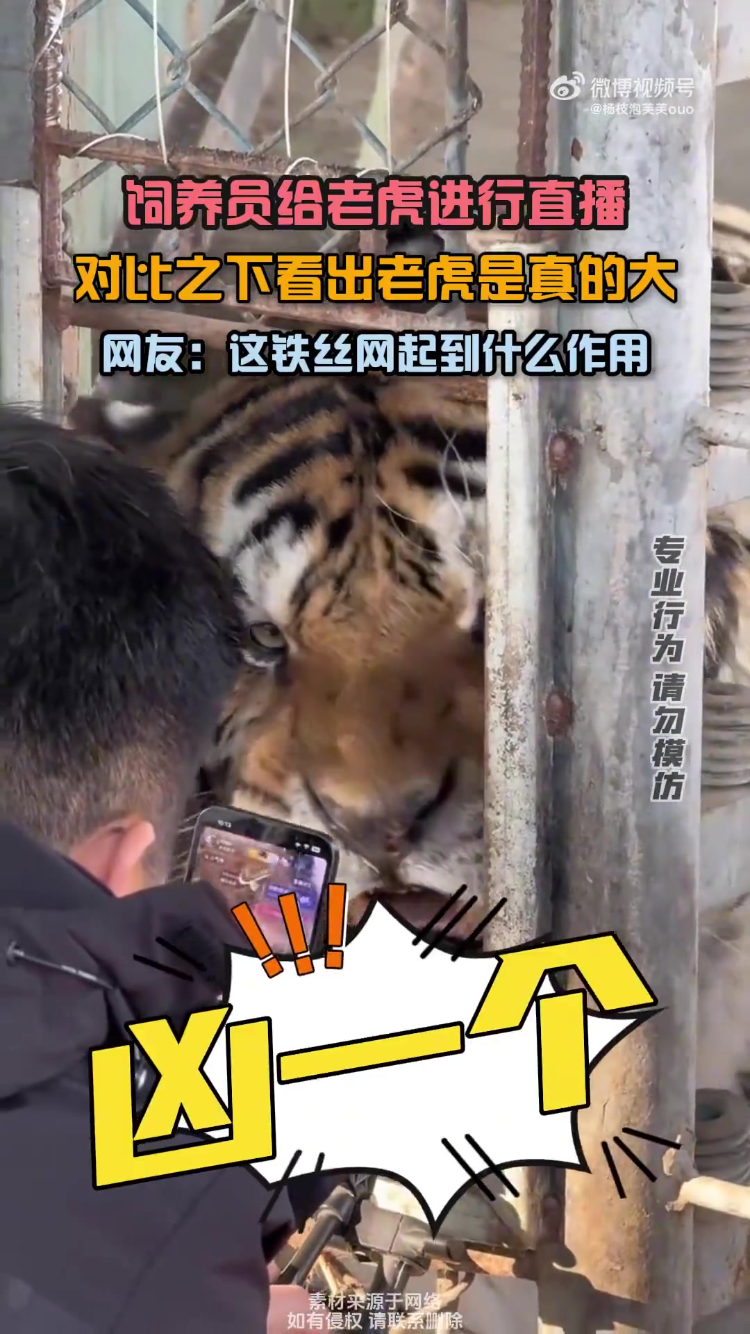 怎么说服老虎配合你直播的