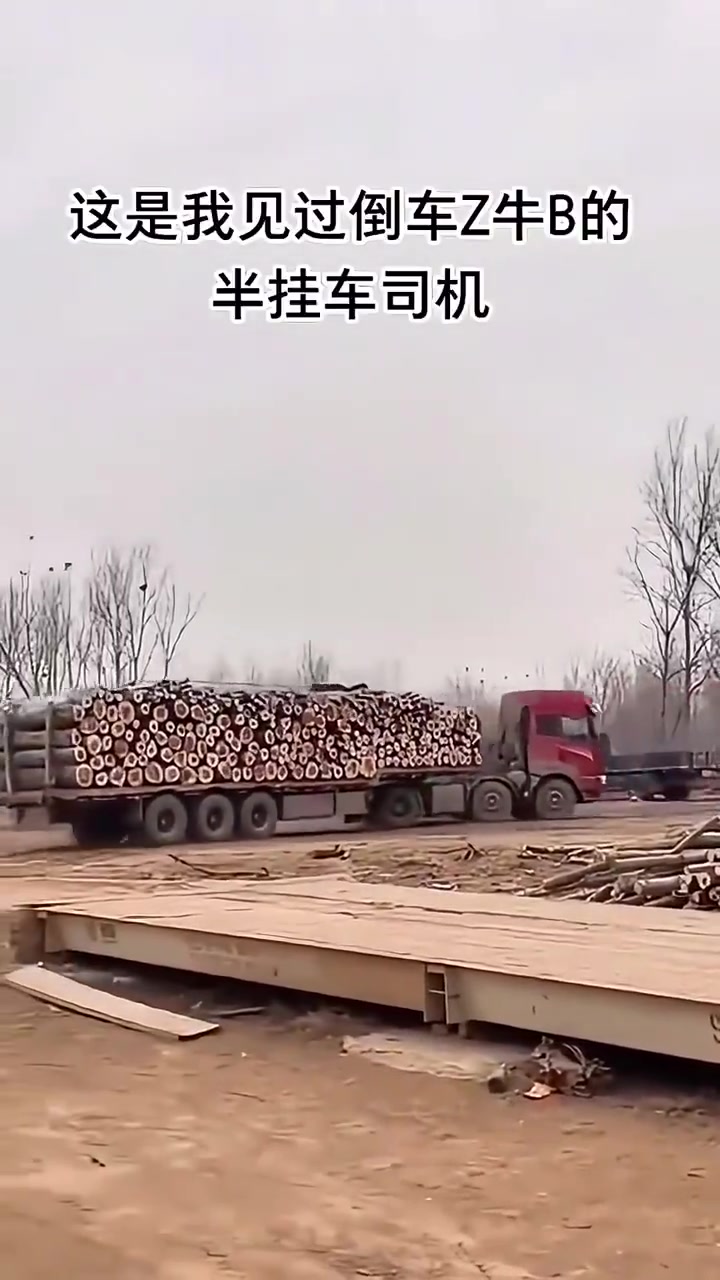 网友：这是我见过倒车最牛逼的半挂车司机