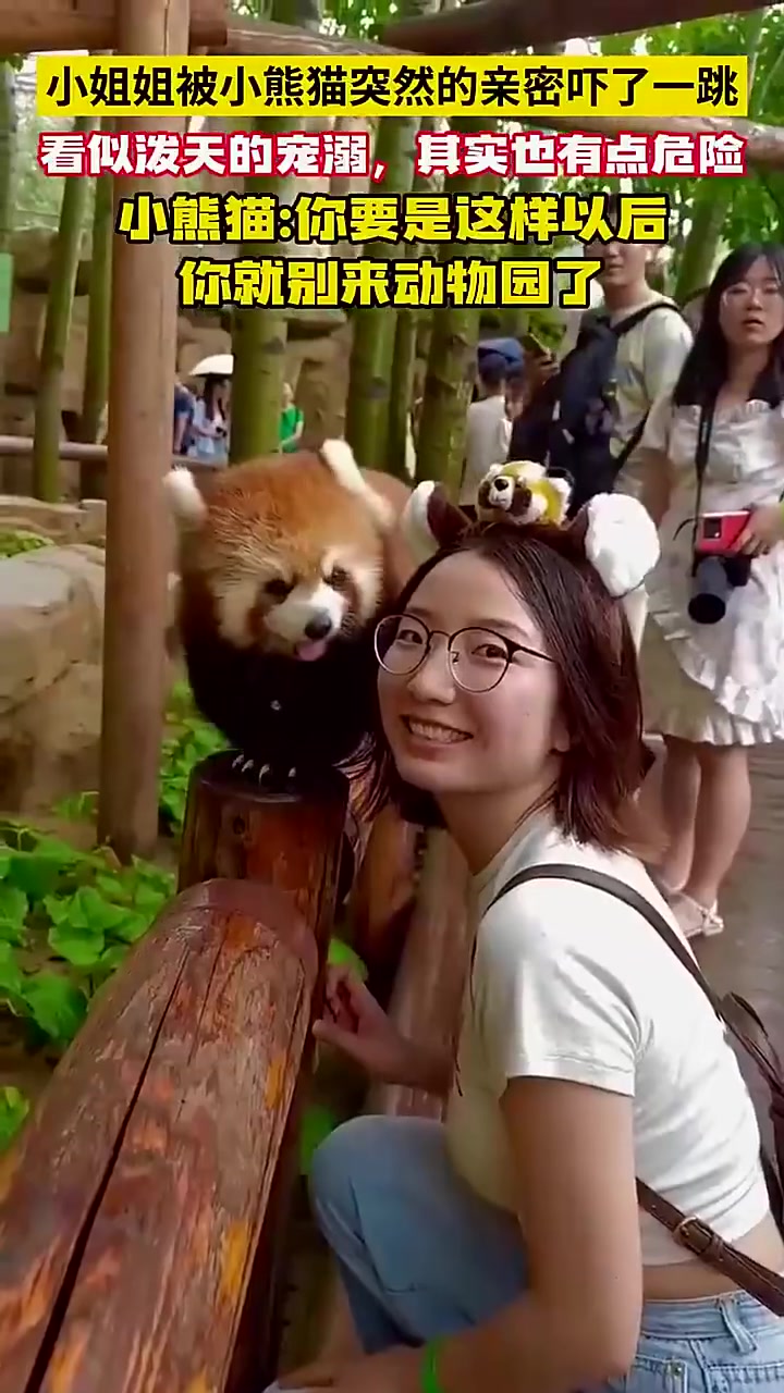 小姐姐被小熊猫突然得亲密吓了一跳！！