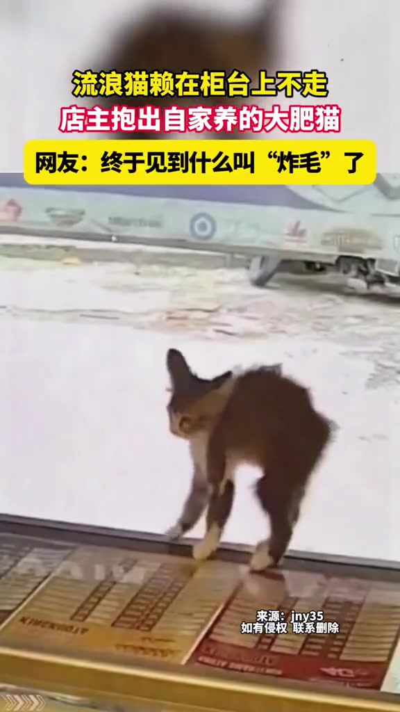 就这样的突然出现在你眼前的感觉