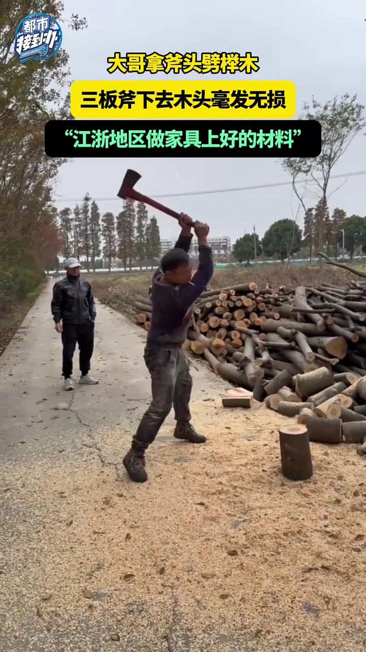 大哥这么有钱劈榉木当柴火烧