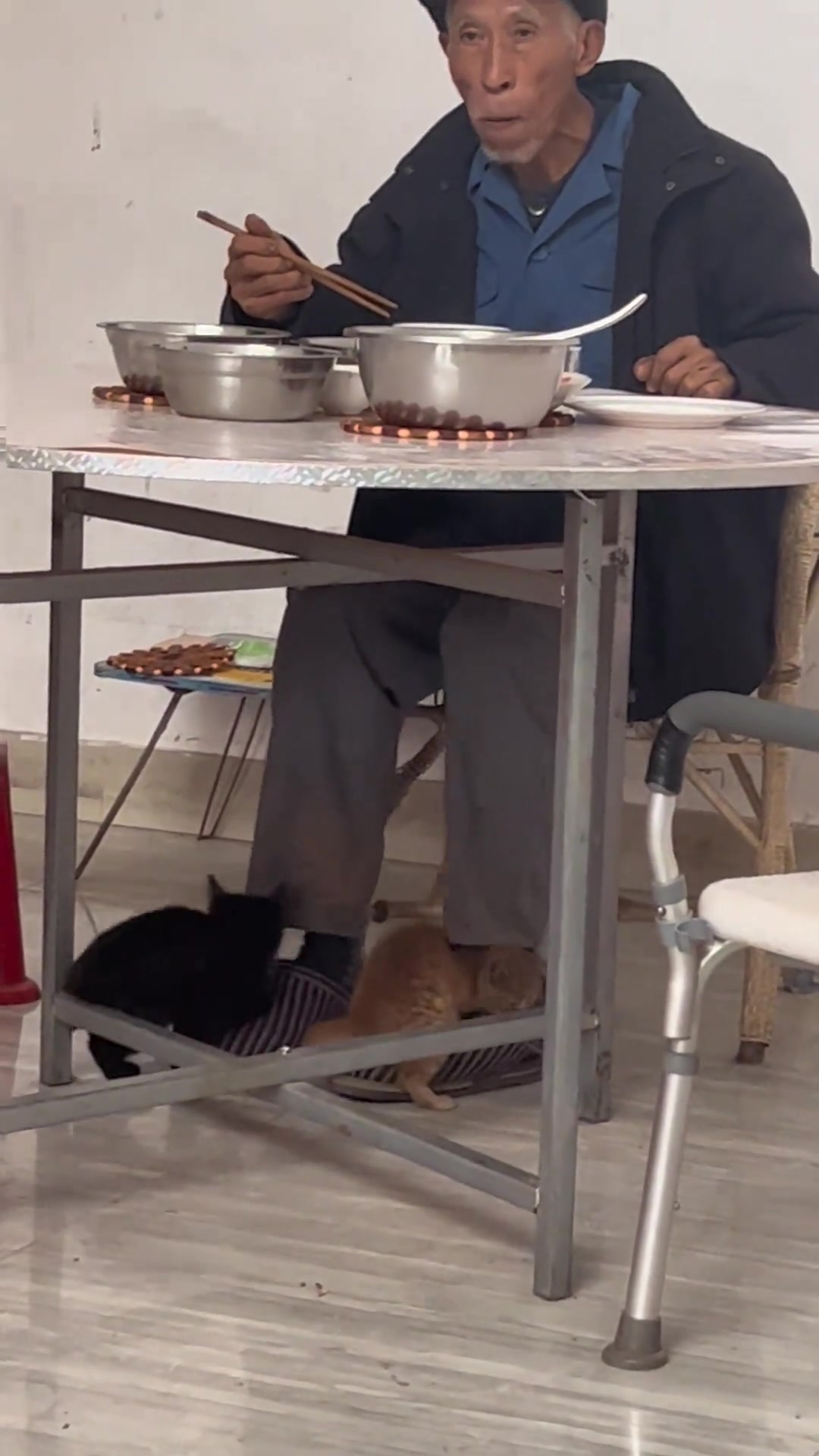 天气冷猫猫都这样吗