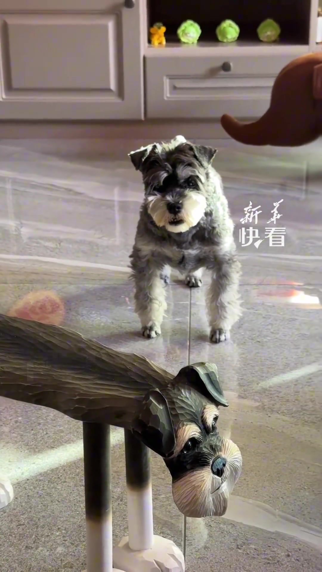 “这难道就是淘气的下场吗”