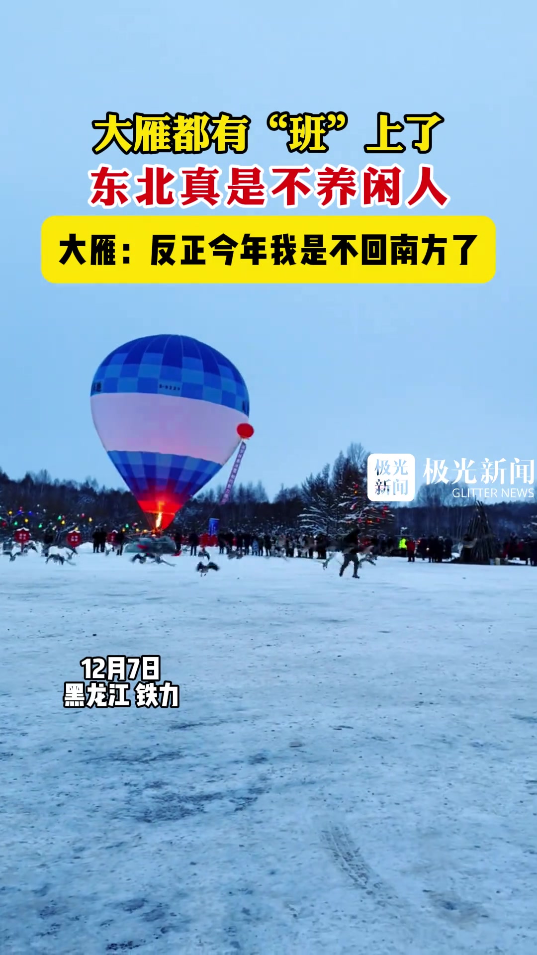 大雁都有“班”上了，东北真不养闲人