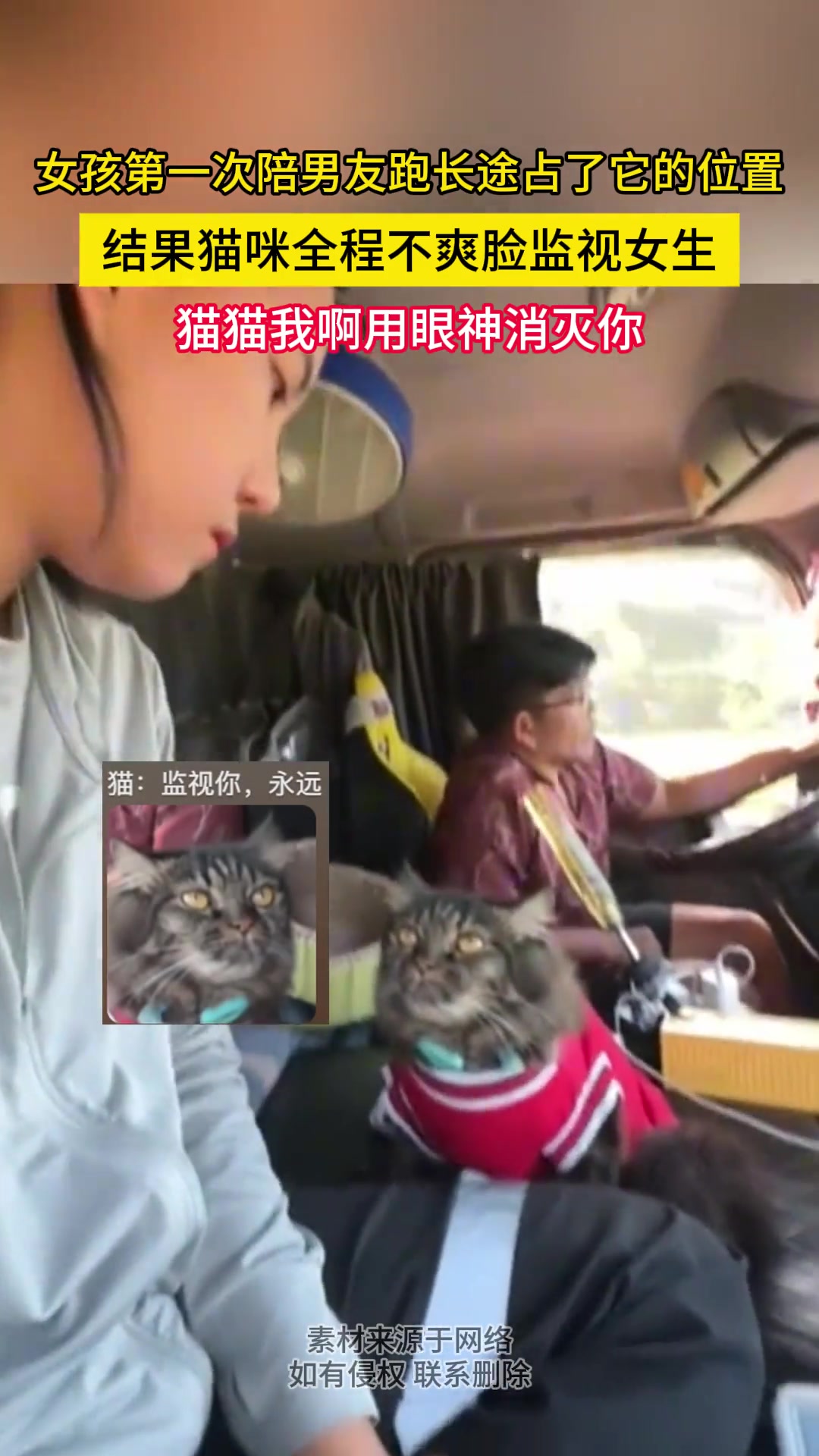 女孩第一次陪男友跑长途占了它的位置结果猫咪全程不爽脸监视女生