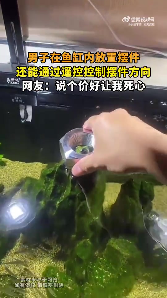 男子鱼缸放摆件，遥控其方向，网友：说价让我死心
