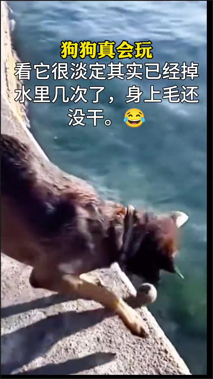看他很淡定其实已经掉水里几次了