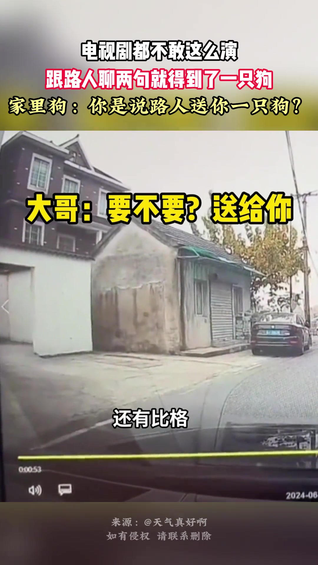 电视剧都不敢这么演跟路人聊两句就得到了一只狗