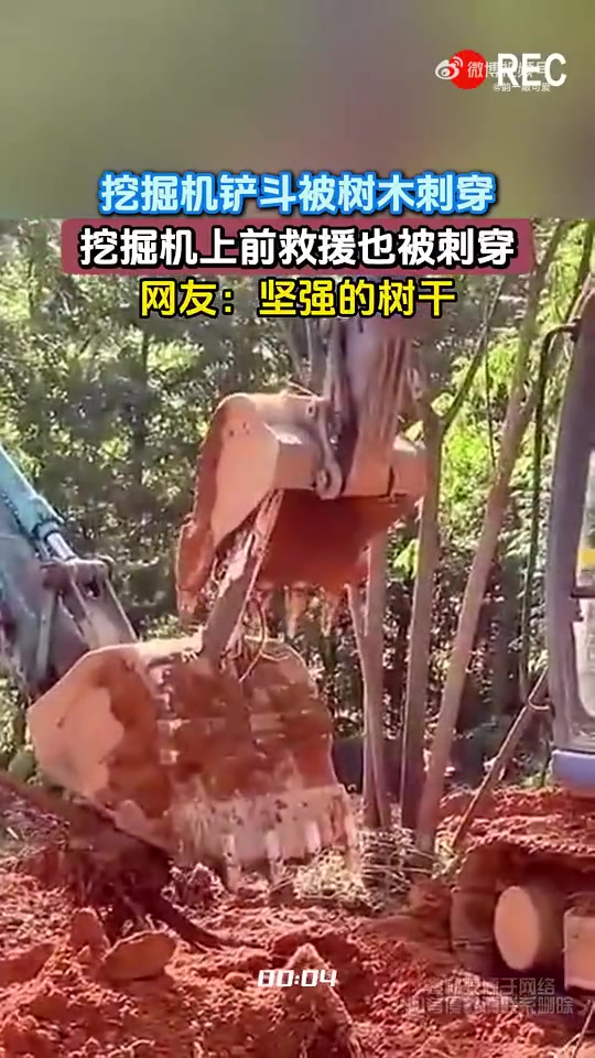 挖掘机铲斗被树刺穿，救援的挖掘机也被刺穿