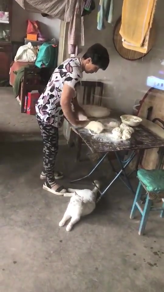 小猫温柔提醒姥姥踩脚了，是个乖宝宝