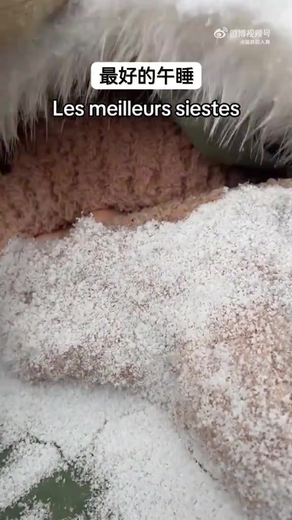 加拿大母亲为孩子建免疫系统让孩子雪天睡外头