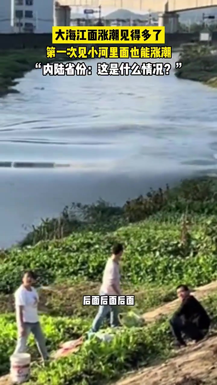 不懂就问，小河里为啥也能涨潮