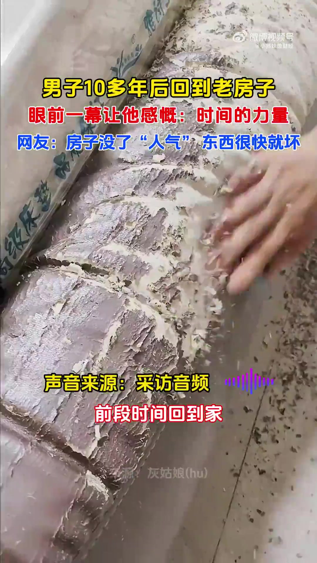 男子10多年后回到老房子，眼前一幕让他感慨：时间的力量