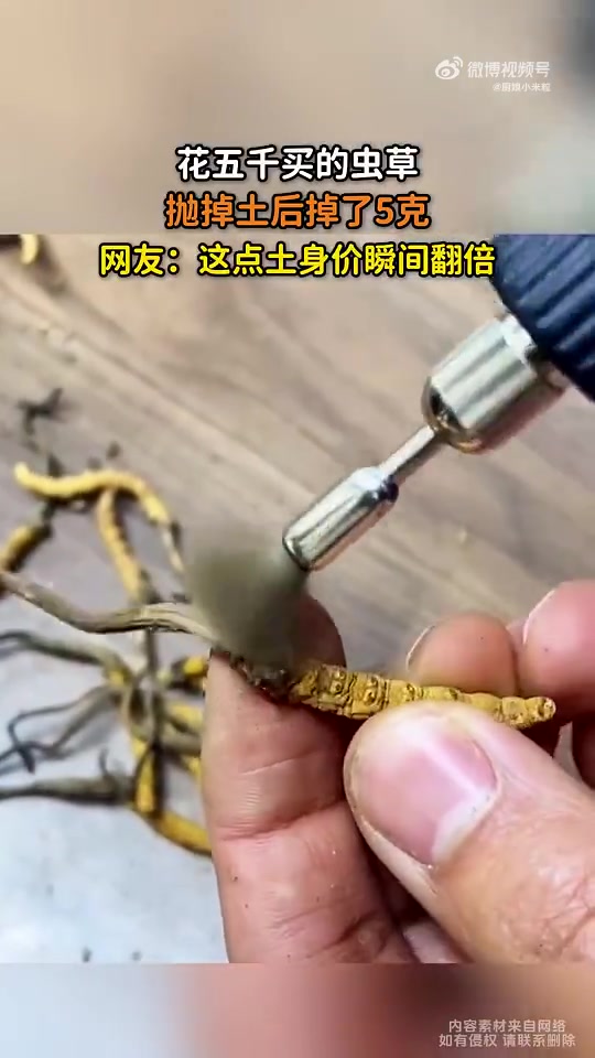 花五千买的虫草，抛掉土后掉了5克