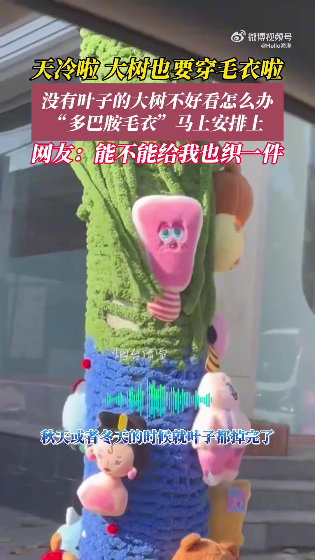 冬天大树光秃秃的不好看怎么办“多巴胺毛衣”安排上！
