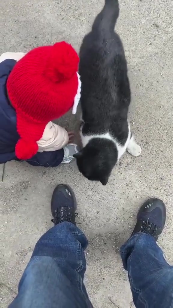 人类幼崽摸到猫咪后激动得大叫