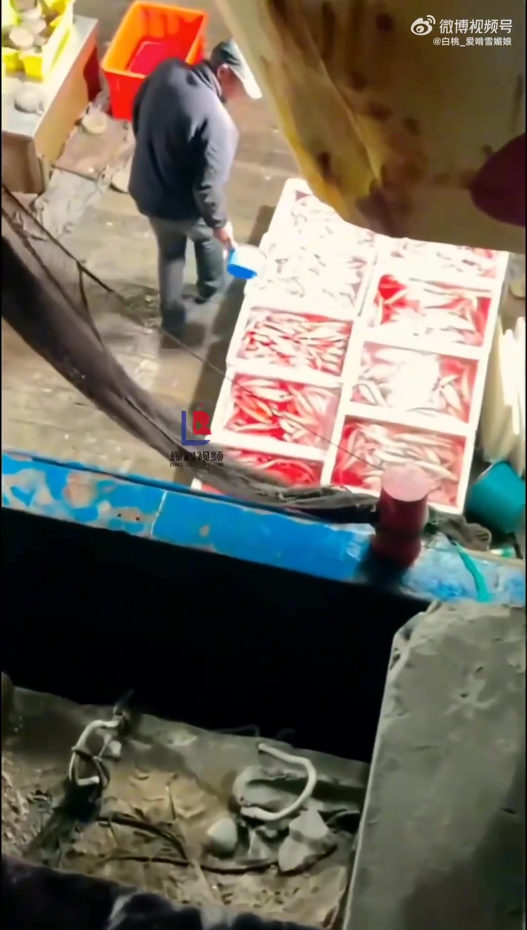 一海鲜市场男子多次往鱼桶里加注红色液体被拍下，严惩无良商家