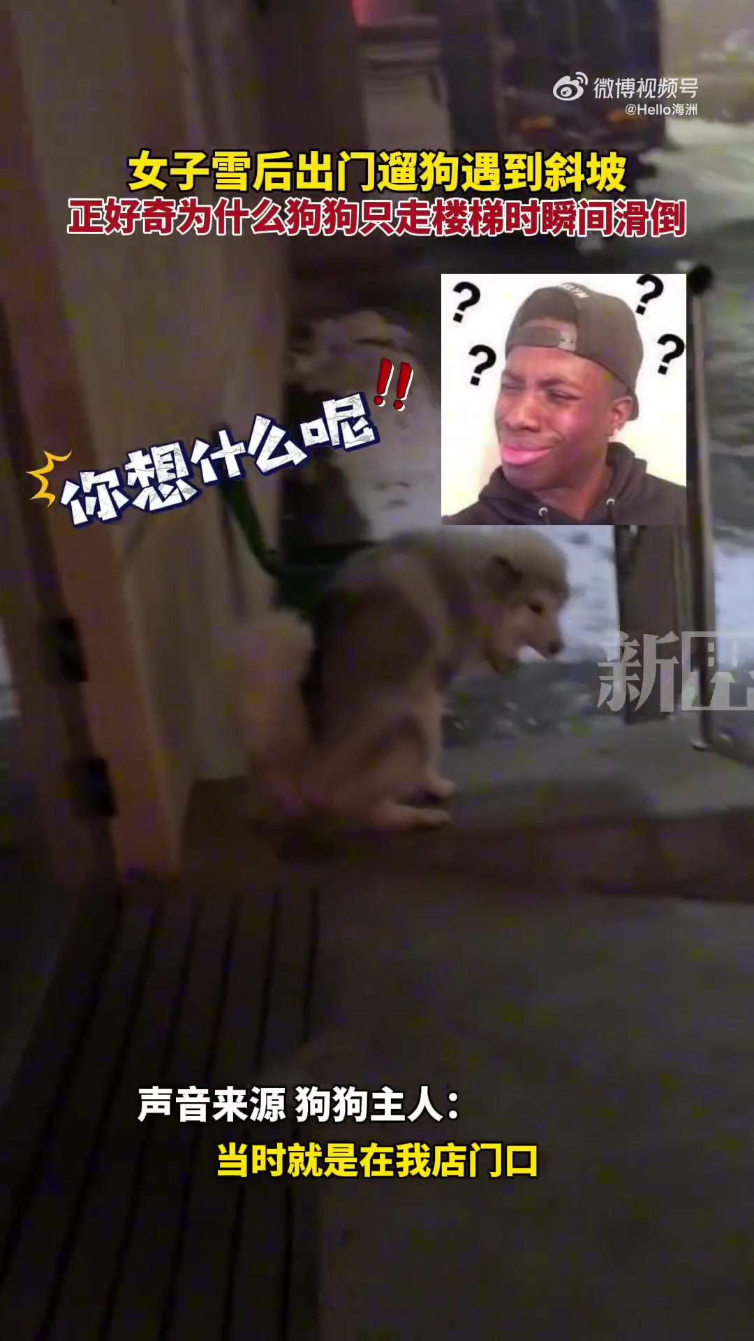 女子雪后出门遛狗遇到斜坡，正好奇狗狗为什么只走楼梯时自己滑倒