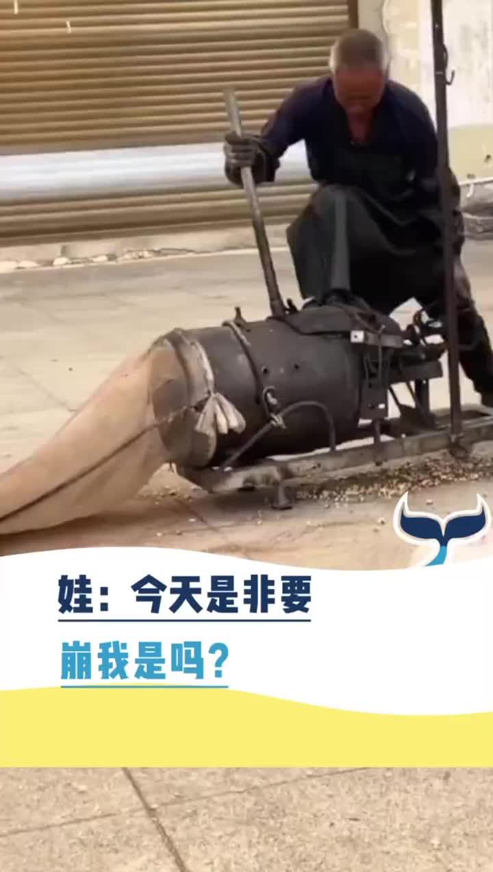 宝宝：今天你是非要崩我吗