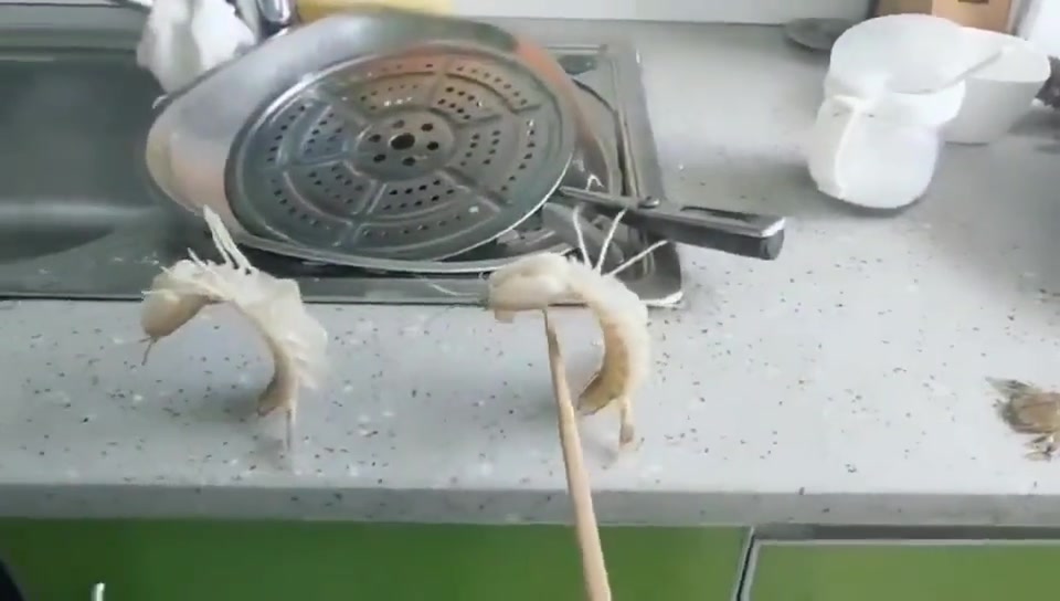 这么智能，肯定是新能源虾