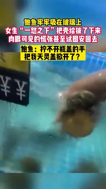 你以为头盖骨都给你掀开只是说说的