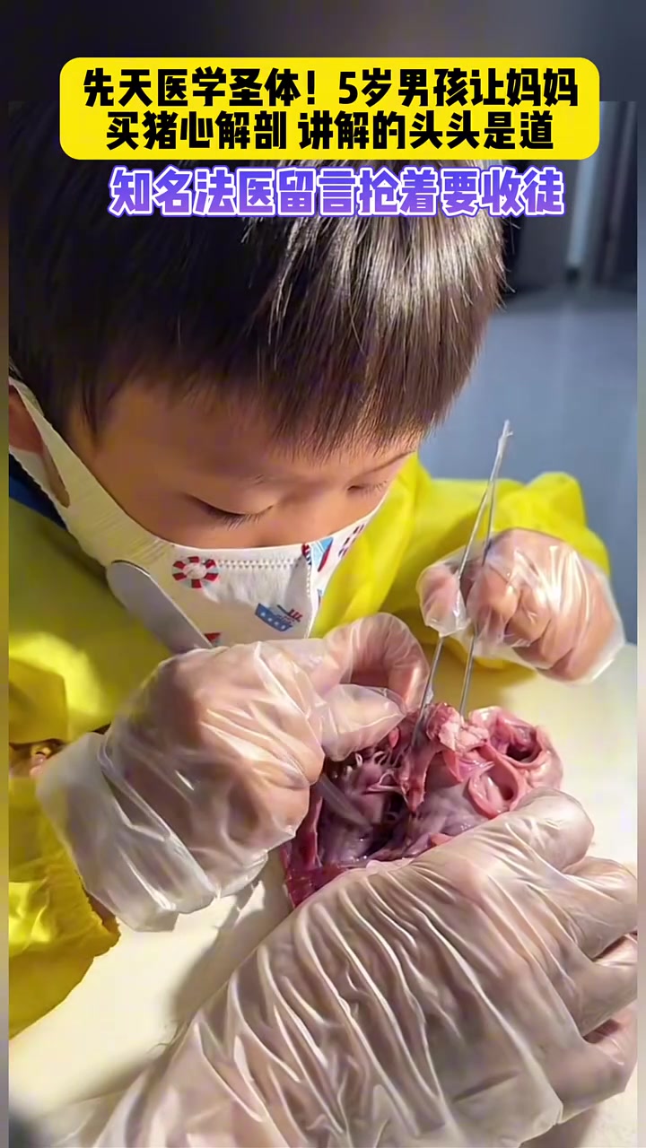 先天医学圣体，5岁男孩让妈妈买猪心解剖，讲解的头头是道