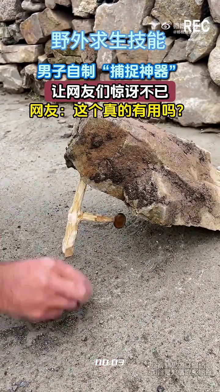 这个真的有用吗