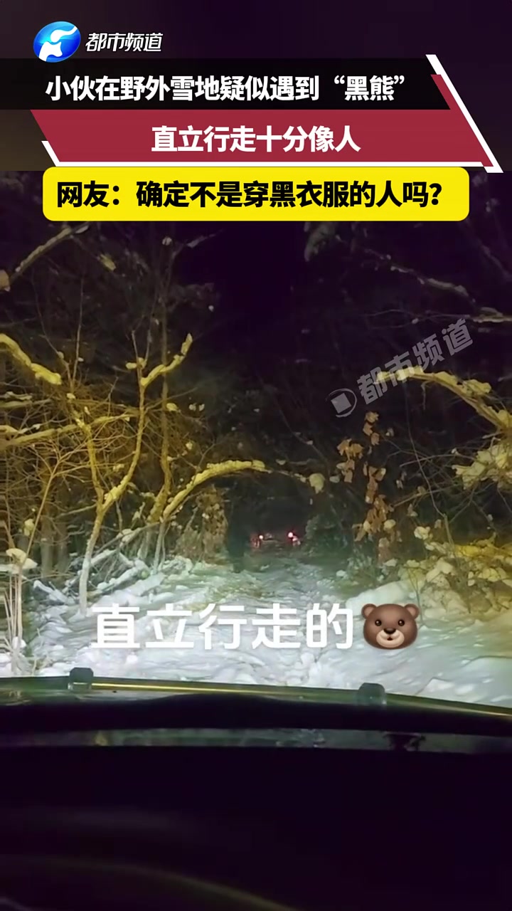 小伙在野外雪地疑似遇到“黑熊”，直立行走十分像人！