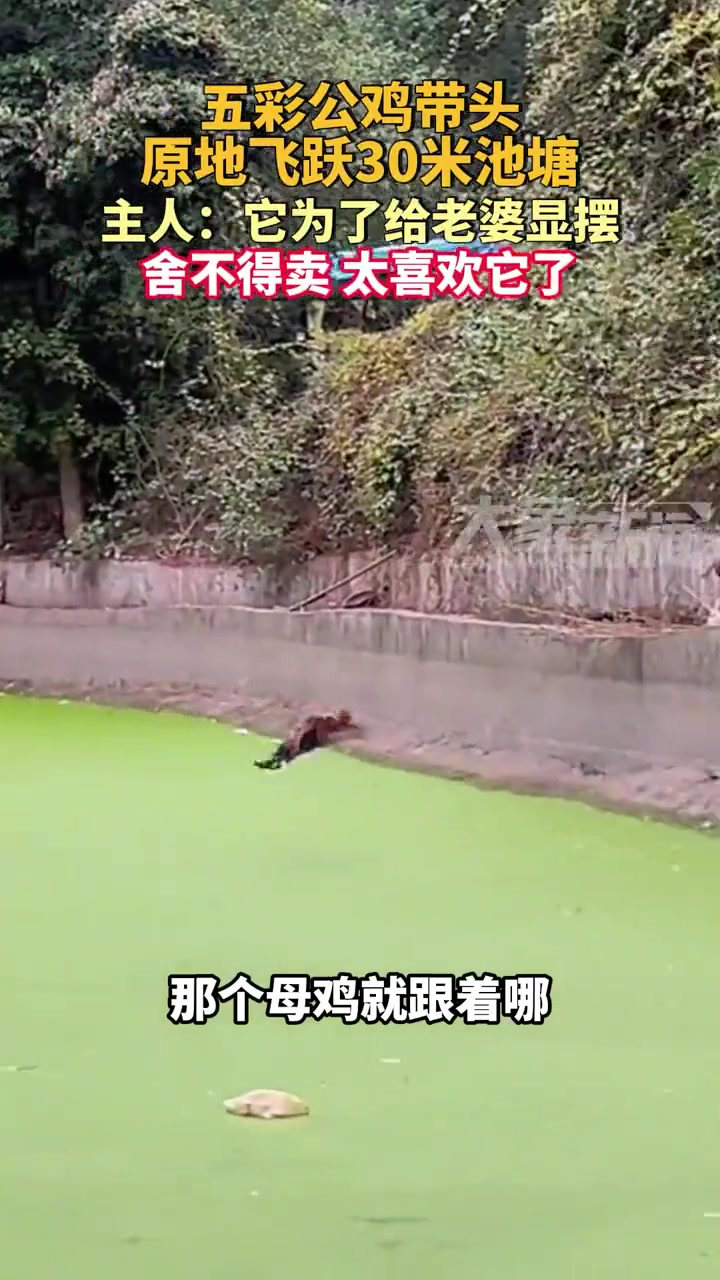 最后这一下还不吃了它