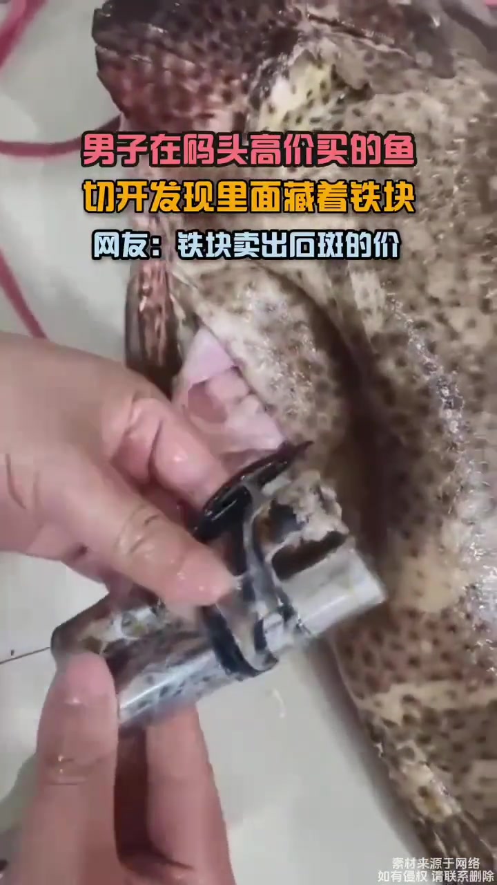 上古神奇石斑锁