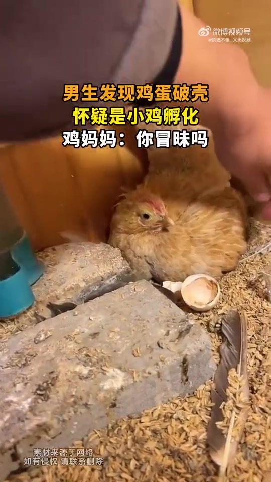 你直接掰开我屁股看礼貌吗