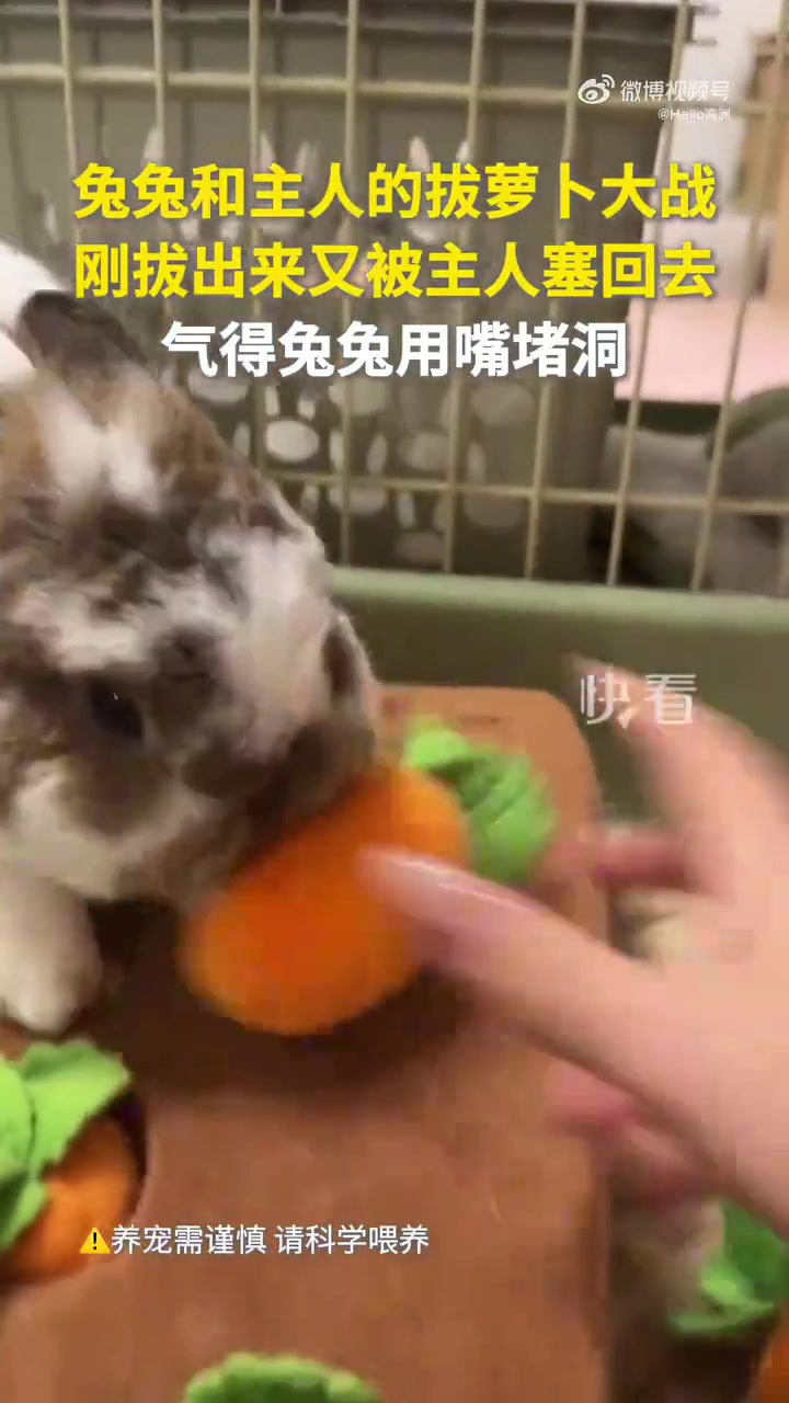 可爱死我得了！