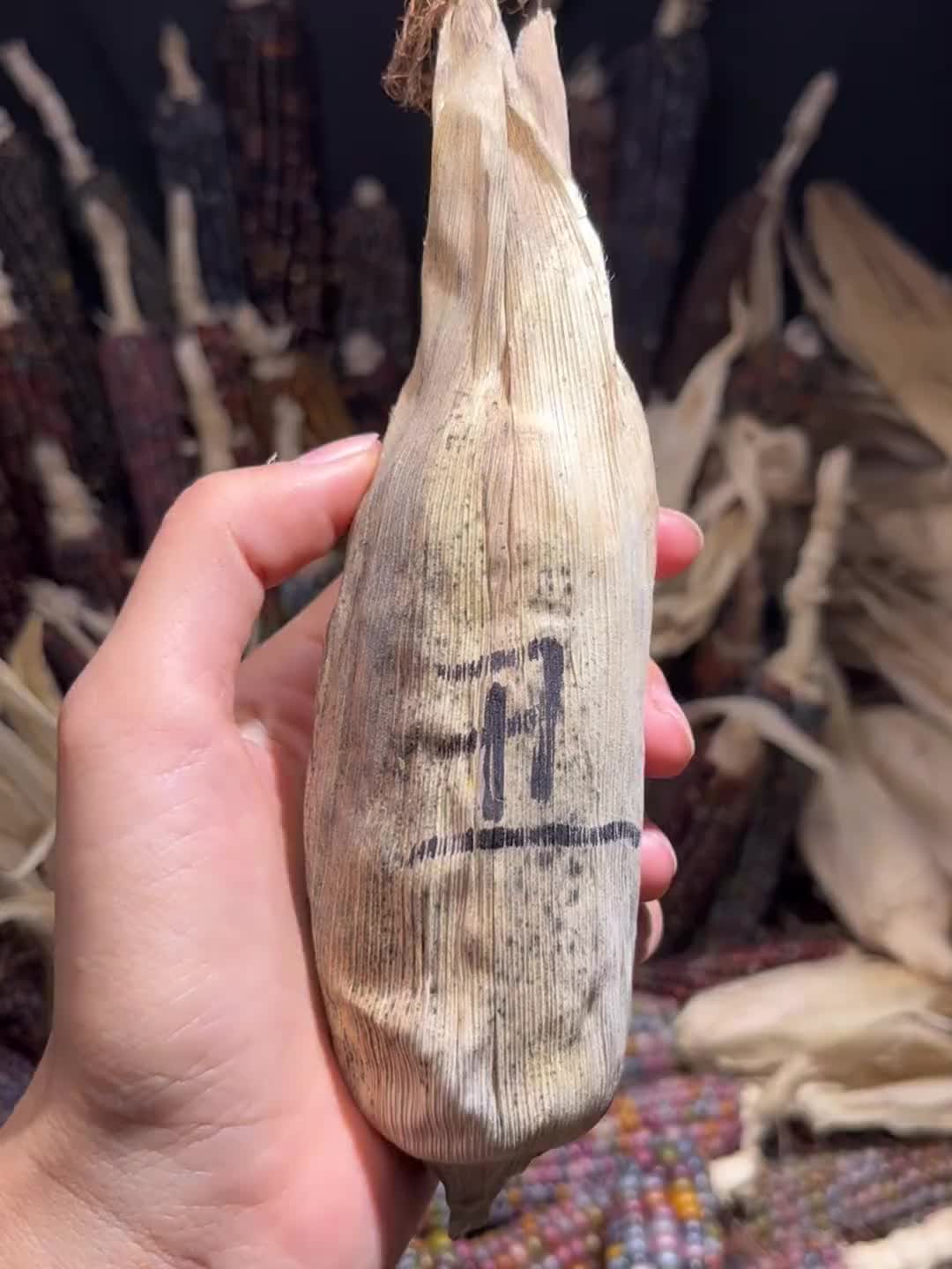 在我们这里这种玉米叫花包谷，真是和宝石一样漂亮！
