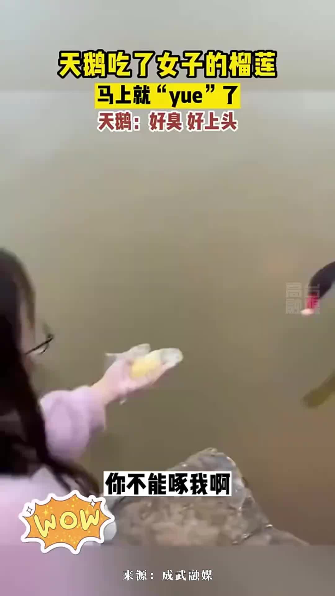 天鹅：这味道，太上头了