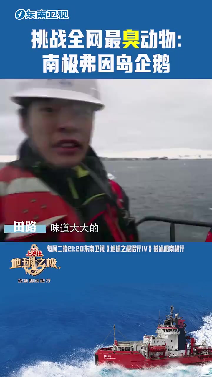 好多企鹅的味道真重，这是否符合你对南极的印象呢