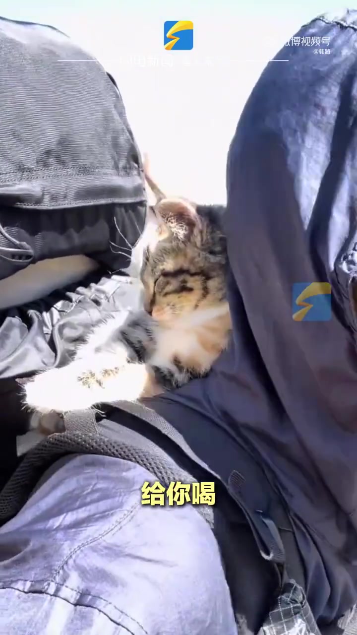 坏了给可爱鬼缠上了！