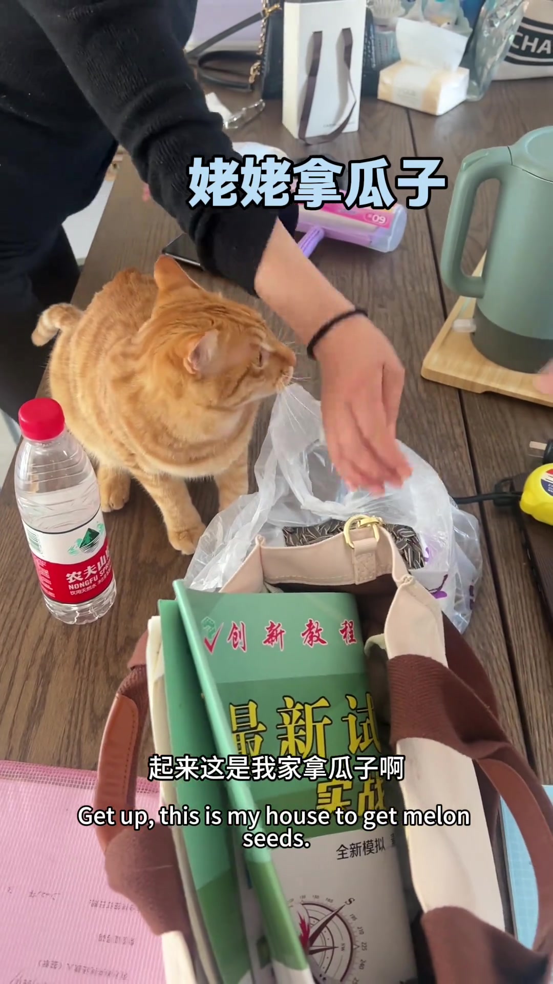 人哥的区别对待姥姥干啥都行姥爷干啥都不行！