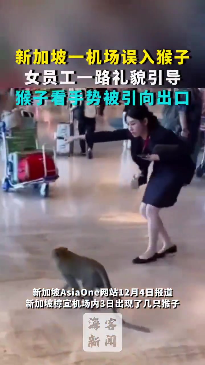 一个敢指引一个能看懂