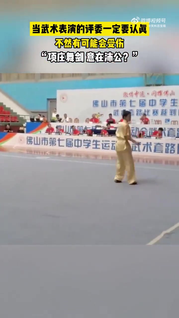 当武术表演评委要认真，不说了，看视频吧