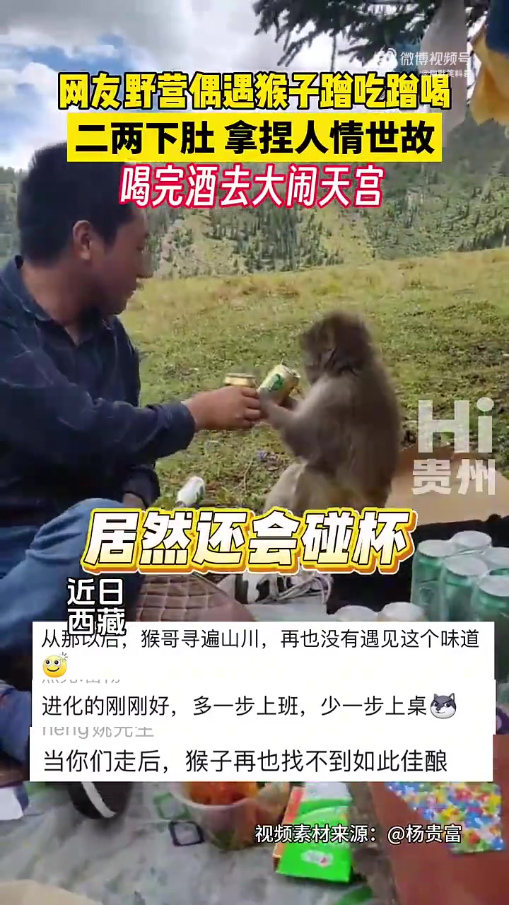 野营遇到蹭吃蹭喝的泼猴，没想到二两下肚后拿捏人人情世故