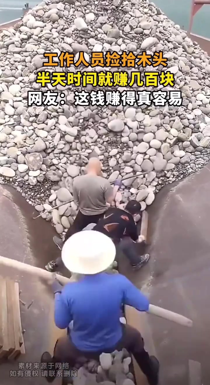工作人员捡拾木头，半天时间就赚几百块