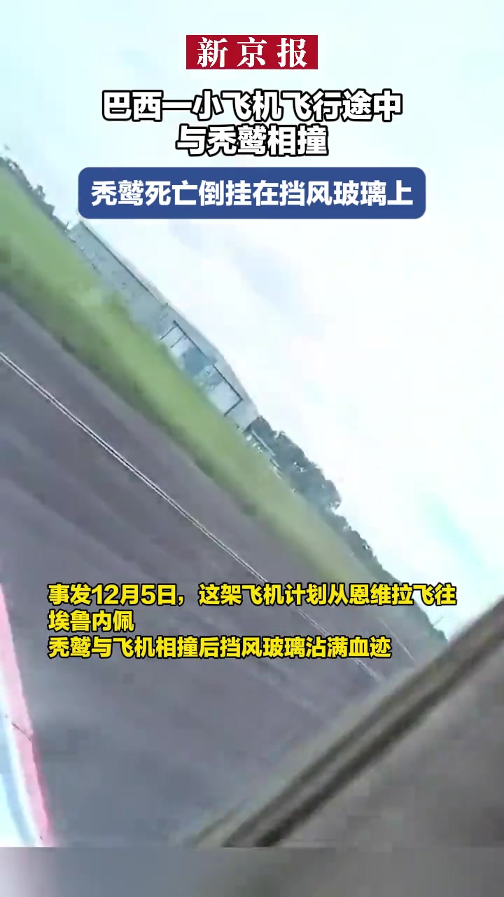 巴西一小飞机飞行途中与秃鹫相撞，秃鹫死亡倒挂在挡风玻璃上！