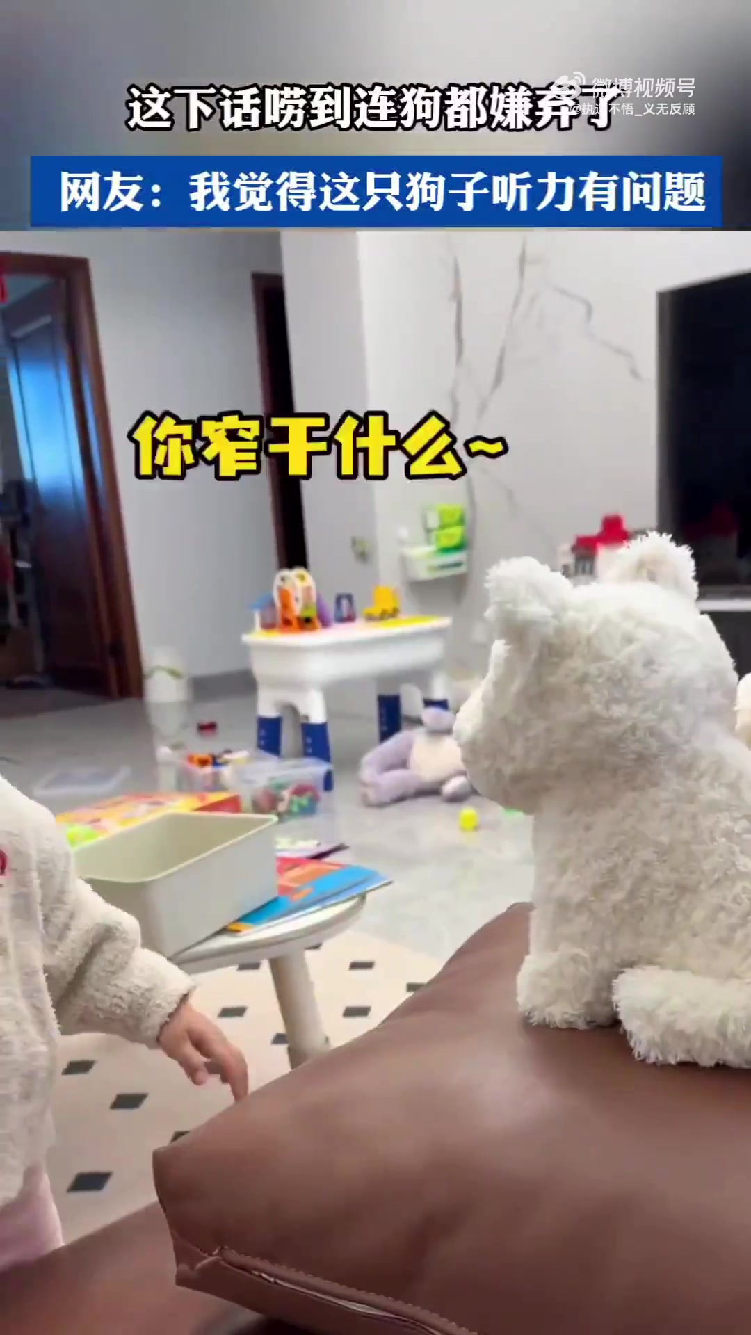 话唠到被狗嫌弃，网友：这狗子听力怕是有问题