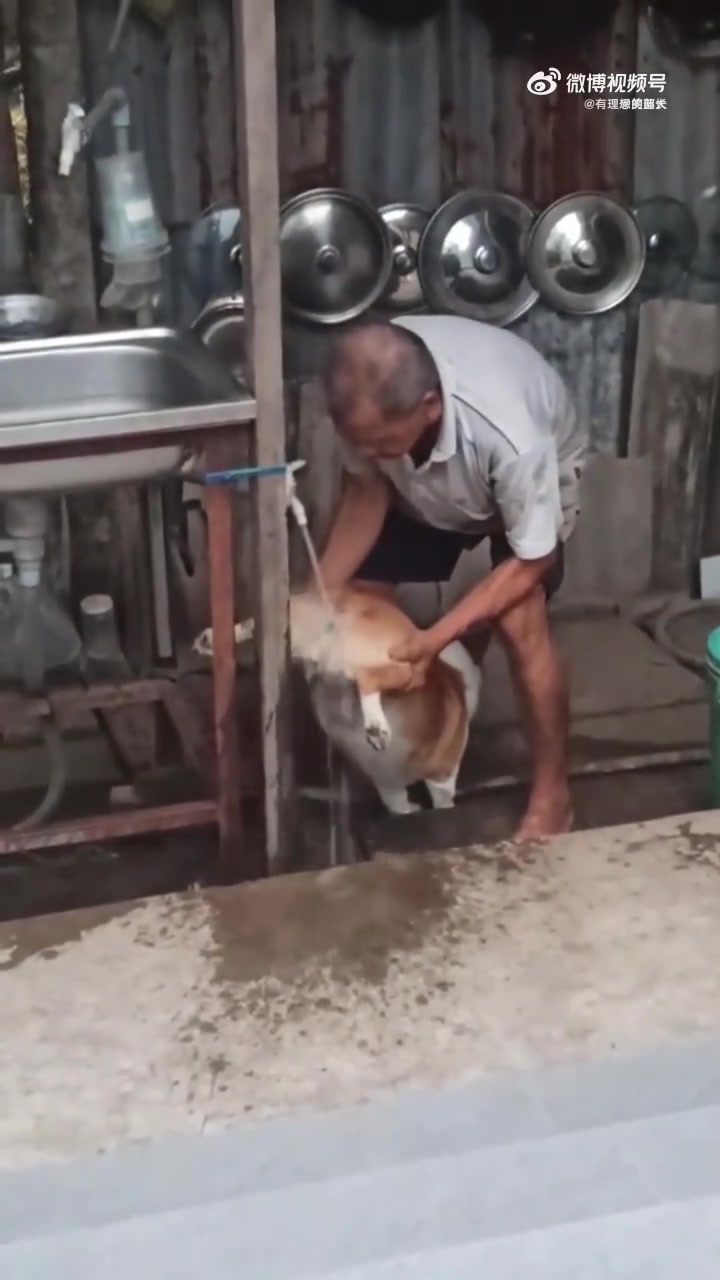 《这样洗是否会窜稀》