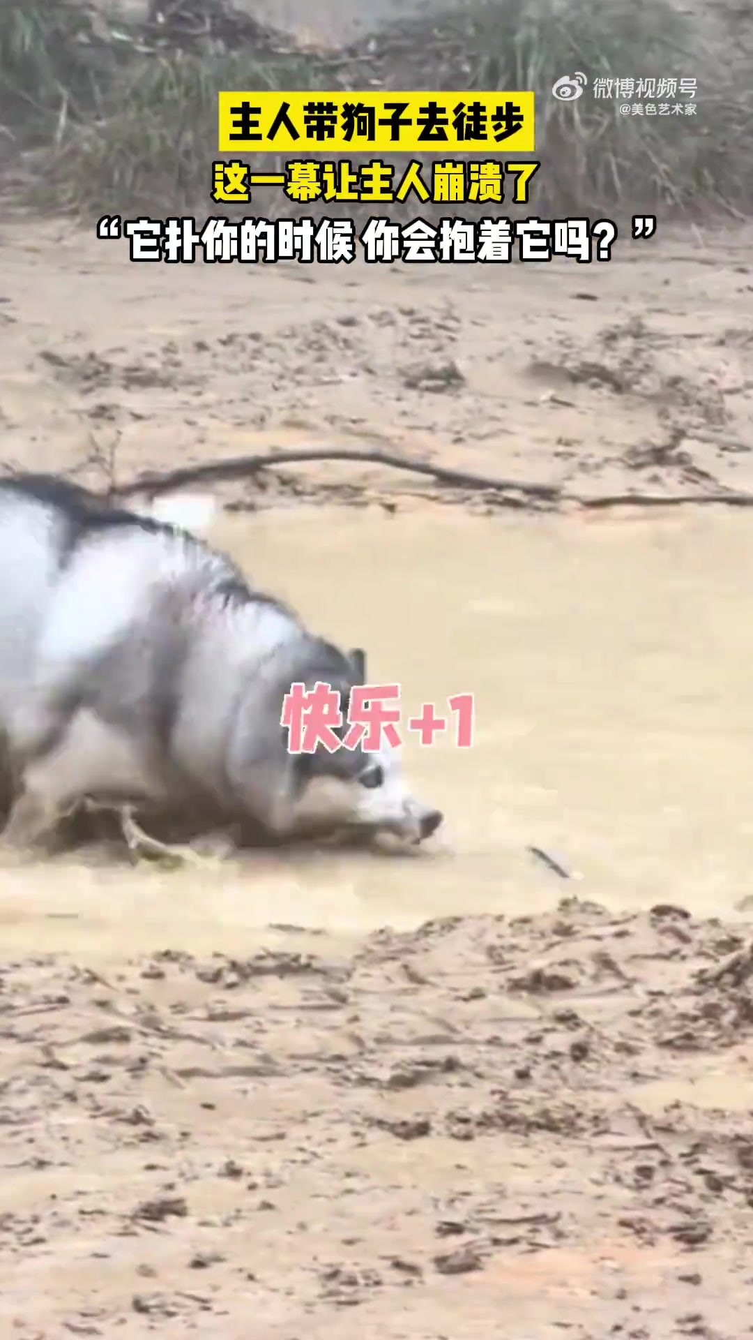 主人带狗子徒步，发生一幕让主人崩溃