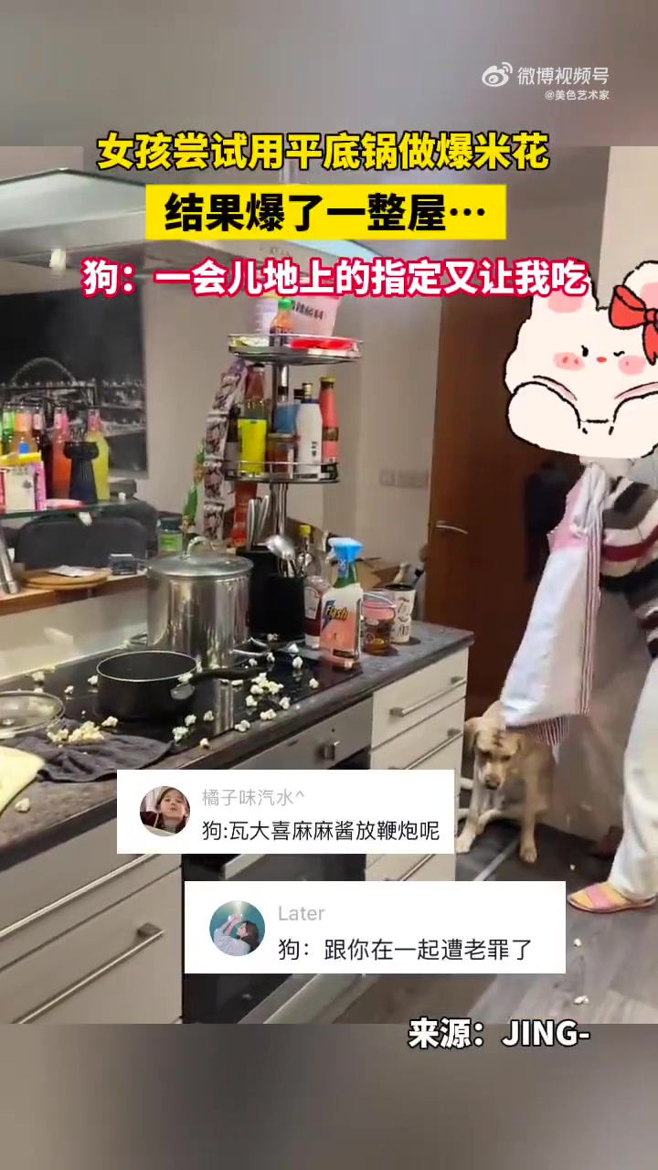 女孩用平底锅做爆米花爆一屋，好笑的是她的狗狗